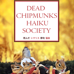 シマリス  俳句 or 死んだ Chipmunk Haiku