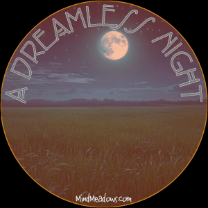 A Dreamless Night