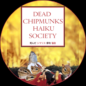 シマリス  俳句 or 死んだ Chipmunk Haiku